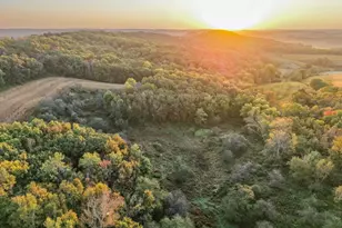 29000 Monarch Ave Ave, Kendall, WI 54638 - Photo 62