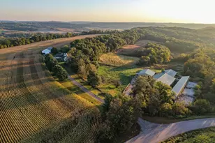 29000 Monarch Ave Ave, Kendall, WI 54638 - Photo 8