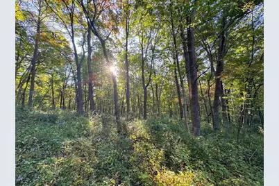 29000 Monarch Ave Avenue, Kendall, WI 54638 - Photo 74