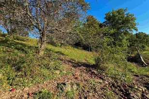 29000 Monarch Ave Ave, Kendall, WI 54638 - Photo 56