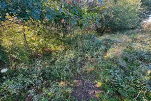 29000 Monarch Ave Ave, Kendall, WI 54638 - Photo 78