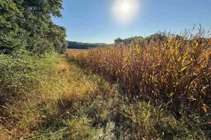 29000 Monarch Ave Ave, Kendall, WI 54638 - Photo 70