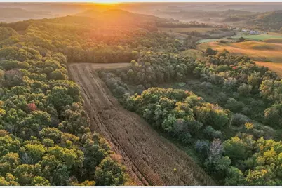 29000 Monarch Ave Avenue, Kendall, WI 54638 - Photo 60