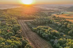 29000 Monarch Ave Ave, Kendall, WI 54638 - Photo 60