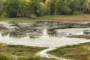 S5237 St Hwy 35, Genoa, WI 54632 - Photo 30