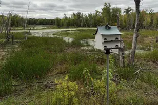 S5237 St Hwy 35, Genoa, WI 54632 - Photo 38