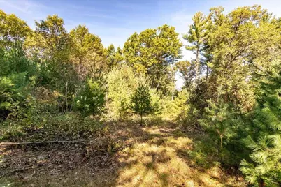 699 County Road J, Friendship, WI 53934 - Photo 36