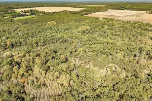 699 County Rd J, Friendship, WI 53934 - Photo 62