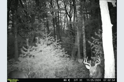 699 County Road J, Friendship, WI 53934 - Photo 2