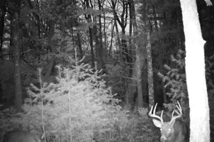 699 County Rd J, Friendship, WI 53934 - Photo 2