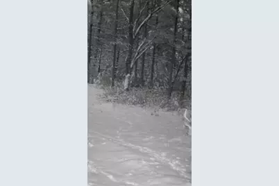 699 County Road J, Friendship, WI 53934 - Photo 8