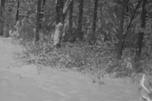 699 County Rd J, Friendship, WI 53934 - Photo 8