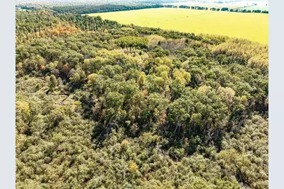 699 County Road J, Friendship, WI 53934 - Photo 56