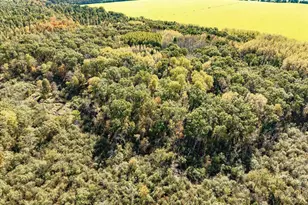 699 County Rd J, Friendship, WI 53934 - Photo 56