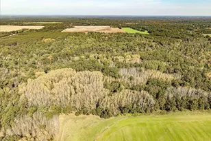 699 County Rd J, Friendship, WI 53934 - Photo 60