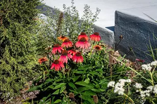 4043 Serenbe St, Middleton, WI 53562 - Photo 54