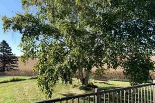 N3943 O Connor Rd, Columbus, WI 53925 - Photo 58