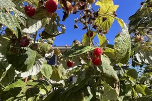 801 Derek Ln, Viroqua, WI 54665 - Photo 36