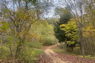 22495 County Hwy Dd Rd, Richland Center, WI 53581 - Photo 14