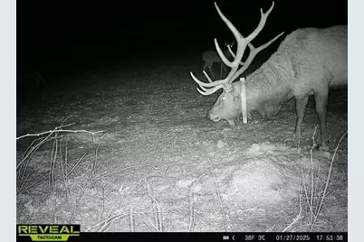 600 Oakwood Street, Warrens,warrens, WI 54666 - Photo 72