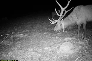 600 Oakwood St, Warrens,warrens, WI 54666 - Photo 72