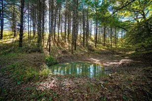 600 Oakwood St, Warrens,warrens, WI 54666 - Photo 70