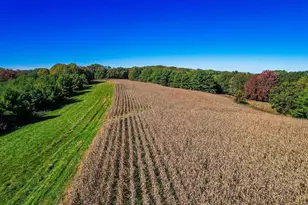 600 Oakwood St, Warrens,warrens, WI 54666 - Photo 50