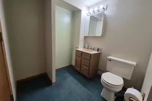 409 Kings Lynn Rd, Stoughton, WI 53589 - Photo 52