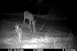 N14965 Pine Ln, Necedah, WI 54646 - Photo 58