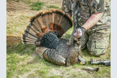 N14965 Pine Lane, Necedah, WI 54646 - Photo 52