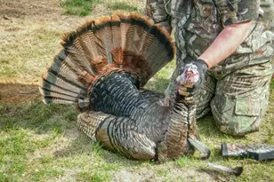 N14965 Pine Ln, Necedah, WI 54646 - Photo 52