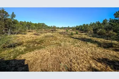 N14965 Pine Lane, Necedah, WI 54646 - Photo 76