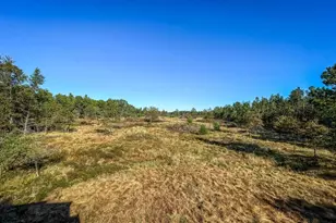 N14965 Pine Ln, Necedah, WI 54646 - Photo 76