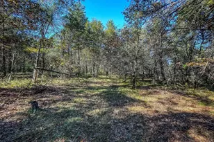 N14965 Pine Ln, Necedah, WI 54646 - Photo 62