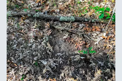 N14965 Pine Lane, Necedah, WI 54646 - Photo 66