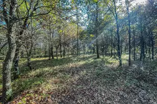 N14965 Pine Ln, Necedah, WI 54646 - Photo 60