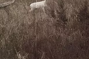 1232 W Sherman Ave, Fort Atkinson, WI 53538 - Photo 70