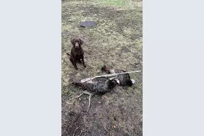 2910 W Bass Creek Road, Beloit, WI 53511 - Photo 22