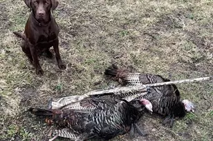 2910 W Bass Creek Rd, Beloit, WI 53511 - Photo 22