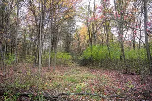 W6266 39th St, New Lisbon, WI 53950 - Photo 66