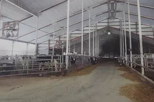 208784 River Run Rd, Stratford, WI 54484 - Photo 2