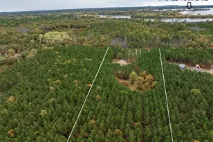 N10167 County Rd G, Necedah, WI 54646 - Photo 60