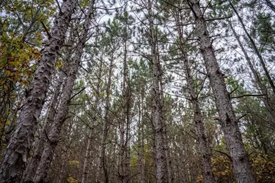 N10167 County Road G, Necedah, WI 54646 - Photo 22