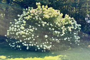 1930 Flying Eagle Dr, Lac Du Flambeau, WI 54538 - Photo 34