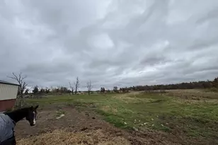 10086 County Road Pp, Warrens,warrens, WI 54666 - Photo 8