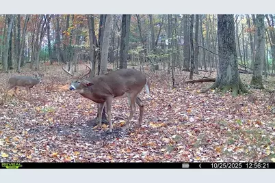 28133 County Highway Et, Tomah, WI 54660 - Photo 30