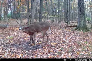 28133 Co Hwy ET, Tomah, WI 54660 - Photo 30