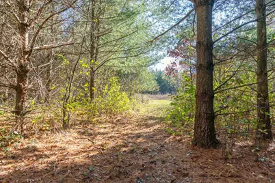 28133 County Highway Et, Tomah, WI 54660 - Photo 34