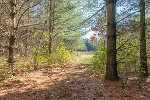 28133 Co Hwy ET, Tomah, WI 54660 - Photo 34