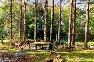 N3897 Business 26 Rd, Jefferson, WI 53549 - Photo 10